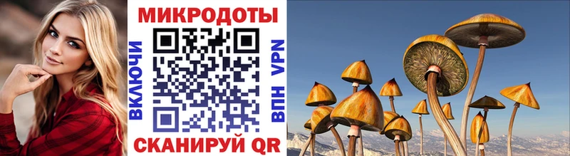 Галлюциногенные грибы прущие грибы  Багратионовск 